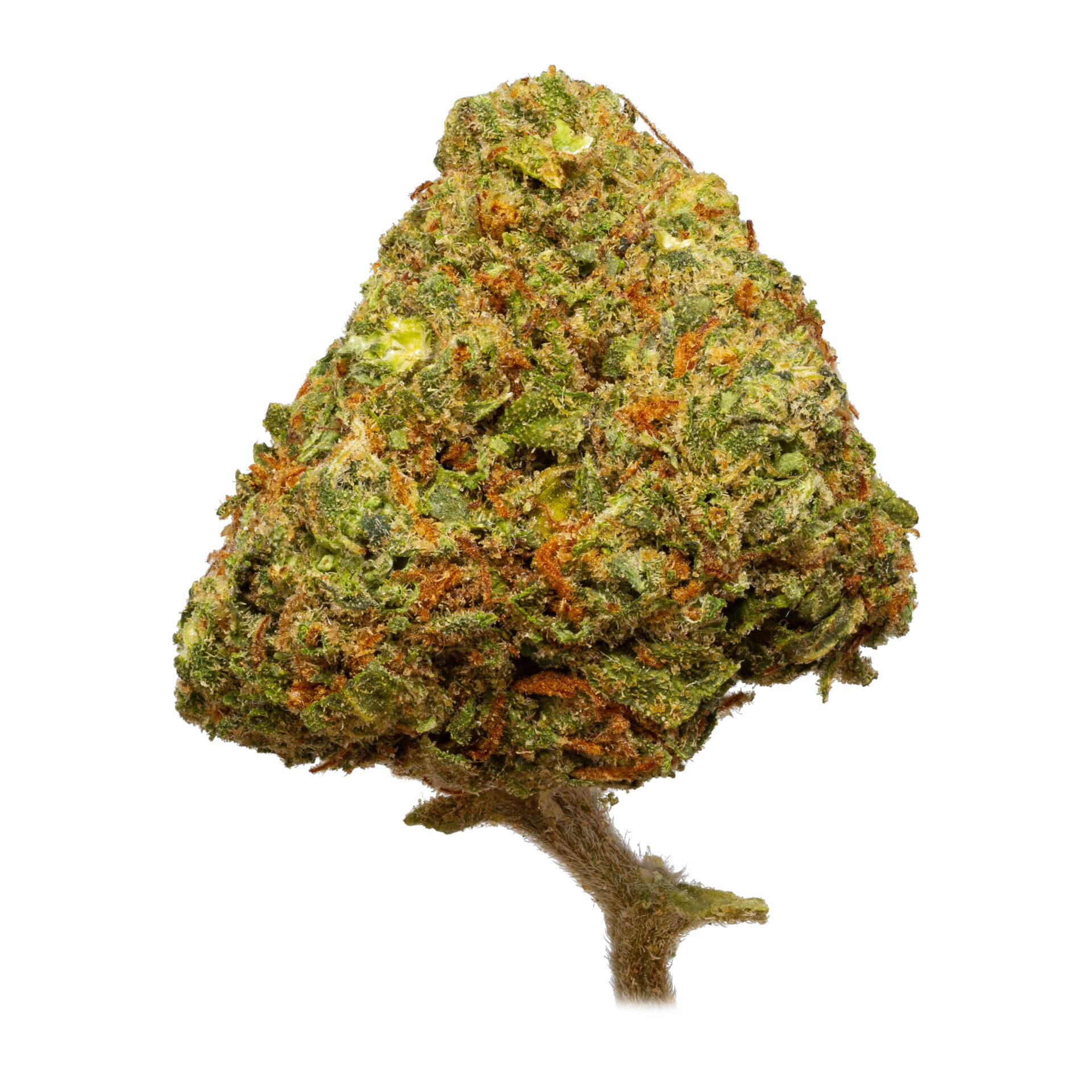 Cherry Lemon Gelato THC Flower ORGANIC - Nila Dispensary