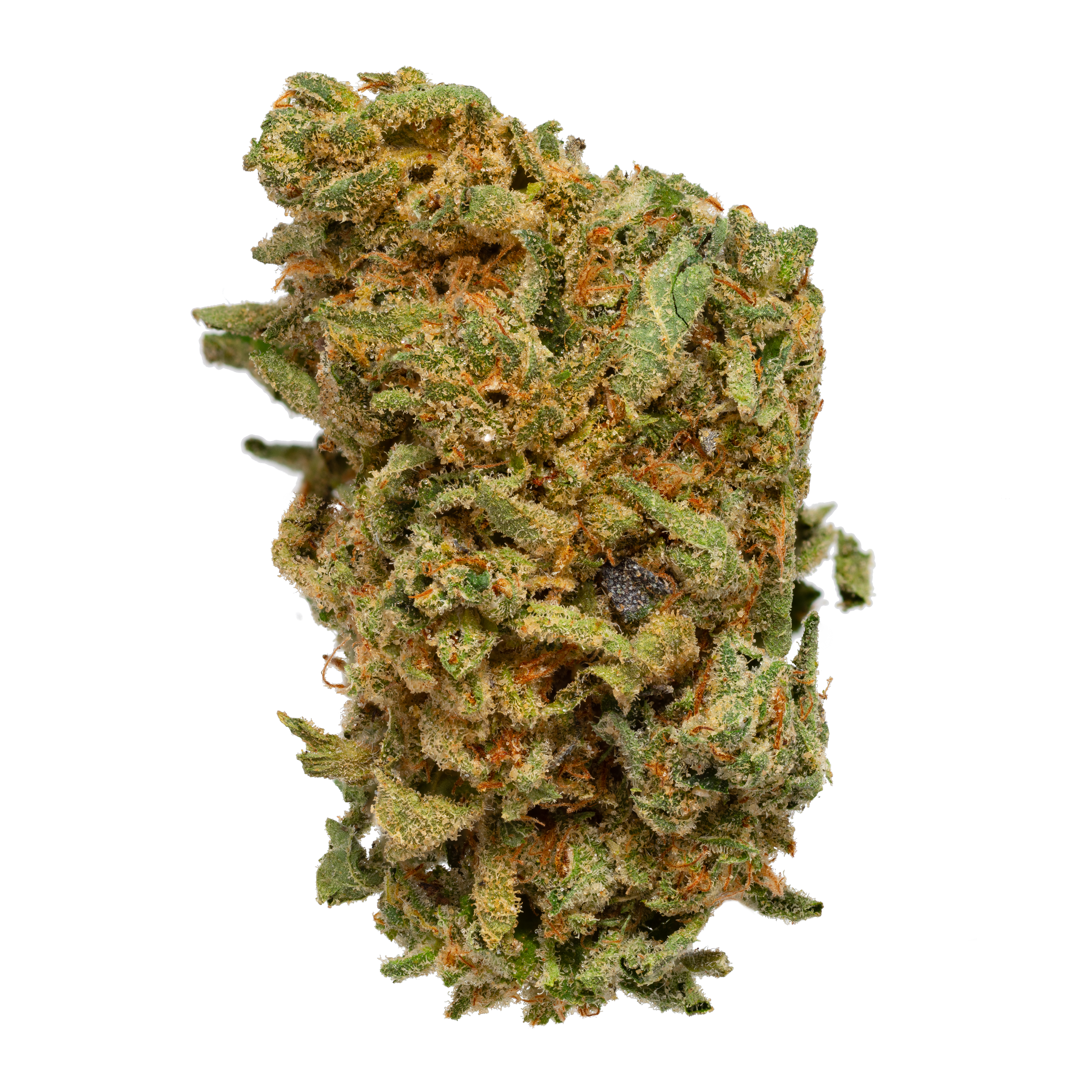 Z33 THC Flower ORGANIC - Nila Dispensary