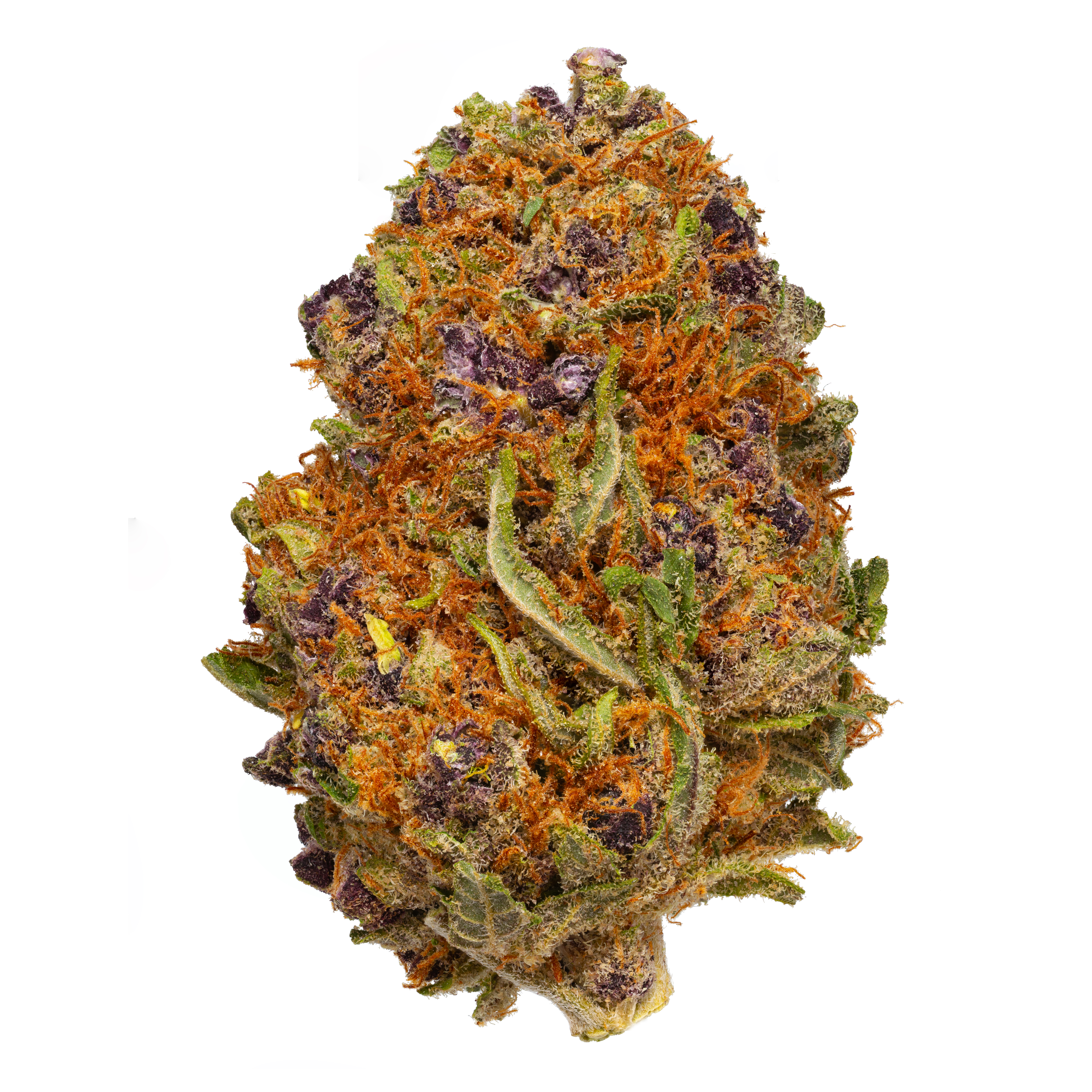 Epic Buzz THC Flower ORGANIC - Nila Dispensary